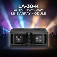 LA-30K Enceinte Line Array passive 2 voies double 10 pouces 137 dB 500 W RMS pour la tournée