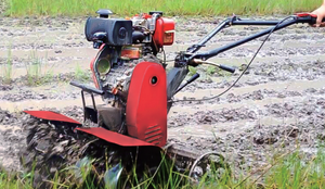Machines agricoles Chaînes de transmission-Chaînes de batteur à vendre - Product Image 2