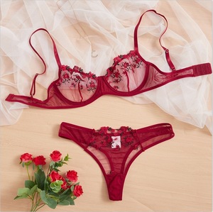 Ensemble de lingerie 2 pièces en maille transparente, broderie florale, élégance sexy, soutien-gorge et culotte, vente chaude - Product Image 2