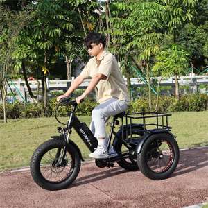 Tricycle à 3 roues ET250 à succès avec siège passager, vélo tricycle 20 pouces avec panneaux solaires - Product Image 4