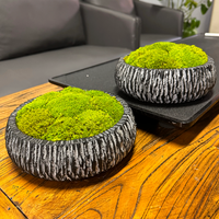 Décorations de table en mousse stabilisée faites à la main pour la maison et le bureau, art de la mousse naturelle, ornements en mousse stabilisée