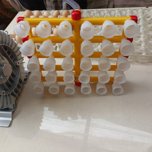 Meilleure vente aspirateur électrique nettoyeur <span class=keywords><strong>d</strong></span>'oeufs canard poulet machine <span class=keywords><strong>d</strong></span>'alimentation pour usage domestique pompe pour ligne de production <span class=keywords><strong>d</strong></span>'œufs boulangerie - Product Image 6