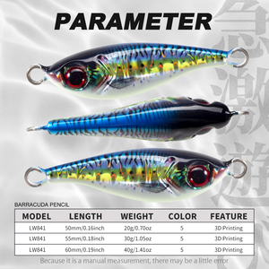 Leurre de pêche en mer imprimé en 3D, jig métallique 20g 30g 40g, leurre dur lumineux à coulée lourde pour la pêche en bord de mer, vente en gros - Product Image 2