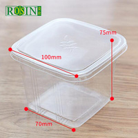 Boîte carrée transparente pour petits gâteaux, emballage de fruits, pâtisserie, vente en gros, 10 pièces