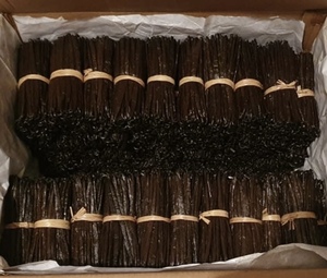 วานิลลาปอมโปนา (เม็กซิโก) ขนาด10-13ซม. 100% ถั่ววานิลลา1กก. จากมาดากัสการ์ - Product Image 3