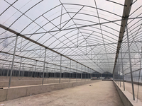 Serre agricole circulaire en film plastique traité anti-UV pour la culture de tomates, avec structure tubulaire et couche unique pour la culture de légumes
