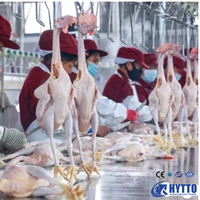 Ligne de traitement complète pour l'abattage de poulets, mobile, modulaire, plug-and-play, 500-1000 poulets par heure, avec conception de plan d'usine gratuite