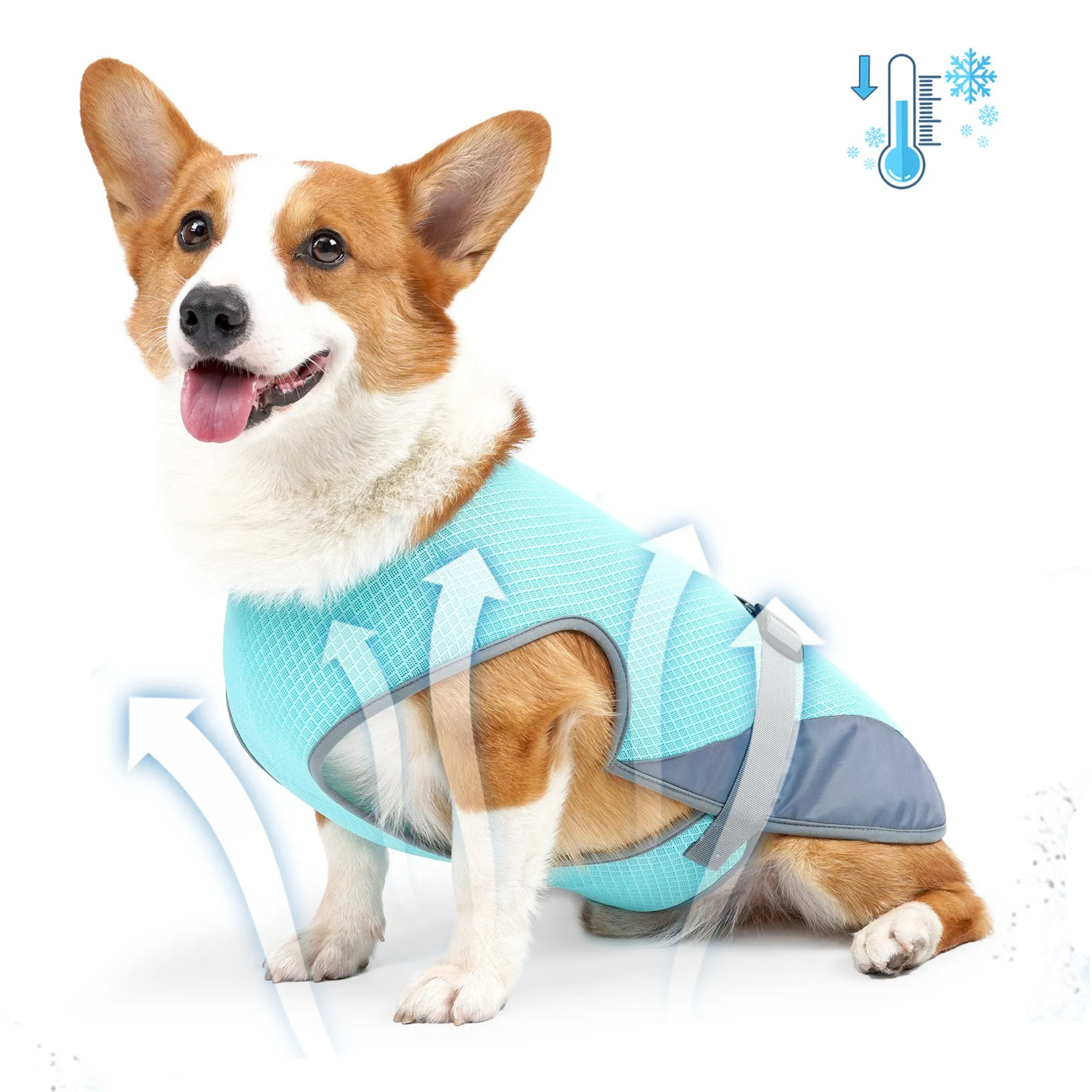 مصنع الجملة الصيف الكلب ملابس تسخير التبريد للكلاب معطف قابل للتعديل الإفراج السريع الملابس