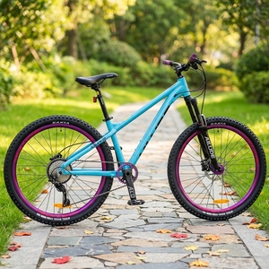 Oferta Destacada: Bicicleta de Montaña para Dirt Jump con Eje de Cassette de 120 Puntos de Contacto para Descenso en Seco, Atractivo Diseño, Cuadro Desmontable de Aluminio ALD-AM100, Fácil Personalización - Product Image 3