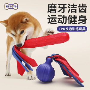 EETOYS <b>Dog</b> TPR Foam Training Toy Durable Teeth Cleaning Interactive Play For Pet Exercise - Product Image 1