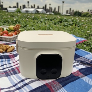 Offre Spéciale : Boîte à lunch numérique sans fil USB 500 ml, chauffe-aliments portable sans cordon pour bébé, idéale pour la maison, la voiture et l'extérieur - Product Image 2