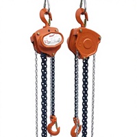 Palans à chaîne manuels de 0,5 tonne, petite taille, chaîne G80, hauteur de levage de 2,5 mètres, pour utilisation en atelier industriel