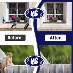 Pointes <span class=keywords><strong>anti</strong></span>-oiseaux multi-usages en acier avec base en plastique, vente en gros d'usine - Product Image 4