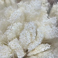 Buket Bunga Baby's Breath Awet Buatan Tangan DIY Dekorasi Pernikahan