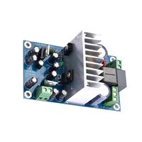IRS2092S module amplificateur de puissance numérique haute puissance 250W classe D module amplificateur de puissance Mono L15DSMD