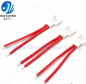 Faisceau de câbles personnalisé avec connecteur JST 2 broches, faisceau de câbles certifié UL CE ISO, faisceau de câbles rouge pour mini-équipements électriques - Product Image 1