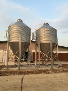 Nuevo Equipo de Ganadería Avícola y Porcina, Silo de Almacenamiento de Alimentos Automático con Estructura Galvanizada en Caliente - Product Image 2