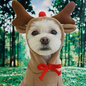 Vêtements pour chien en polaire polyester écologique, design classique de dessin animé, pour Noël et les fêtes d'hiver, marque Shine, sweats à capuche taille <span class=keywords><strong>XL</strong></span> - Product Image 3