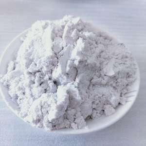 <span class=keywords><strong>Terre</strong></span> <span class=keywords><strong>de</strong></span> diatomées écologique pour le jardinage biologique, la litière pour animaux et le contrôle naturel des insectes - Product Image 2