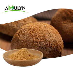 AMULYN 100% organico hericium Erinaceus polisaccaridi 30% idrosolubile leoni criniera fungo estratto Beta glucano 30% polvere - Product Image 5