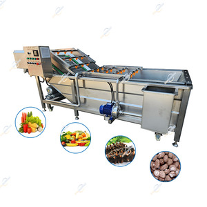 Star Fruit Cleaner Water Chestnut Hawthorn Passion Fruit Fig Yacon Electric Continuous Washing Machine