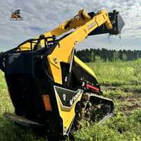 Chargeuse sur chenilles compacte V1000 conforme Euro V, pièces Kubota et vanne de commande hydraulique italienne, certifiée EPA, machine sur chenilles.