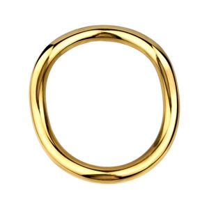 Anillo de Castidad Metálico FRRK-227, Anillo de Bloqueo, Dispositivo de Castidad, Venta al Por Mayor de Fábrica, Dispositivo de Castidad BDSM, Juguetes Gay - Product Image 2