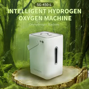 Wholesale SPE/PEM Mini Portable H2 Purity Electrolyzer Hydrogen Generator Hydrogen Gas Breathing Inhalation Machine