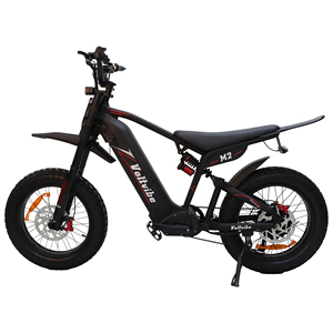 Potente Bicicleta Eléctrica de 2000W y 60V con Neumáticos Gruesos de 20 Pulgadas, Suspensión Completa, Estilo Retro, para Adultos, Disponible en EE. UU., Lista para Enviar, M2-HONG - Product Image 4