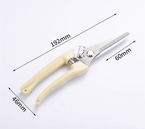 Ciseaux de jardin multifonctionnels en acier inoxydable, faits à la main, à double tranchant, pour la taille des légumes, des fruits, des plantes et des arbres en extérieur - Product Image 5