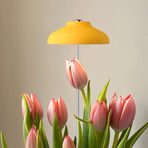 Kit de Jardín Inteligente J&C Minigarden Charloe con Luz de Cultivo Tipo Sol, Chip LED de Alto CRI 95, Ciclo de Luz Automático para el Crecimiento de Plantas - Product Image 1