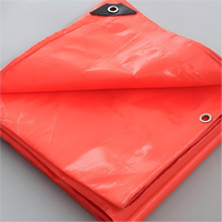 Bâche de protection de cargaison en PE de 180 g, imperméable et résistante aux UV, pour camion léger, tricycle, transport sur courte distance