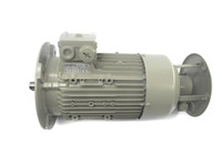 Moteur asynchrone triphasé 460V 1LE10030DB302FA4Z 1LE1003-0DB30-2FA4-Z