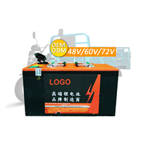 Batería de Iones de Litio Lifepo4, Batería de Seguridad Respetuosa con el Medio Ambiente, 72V, 30Ah, 45Ah, 60Ah, 80Ah, 100Ah