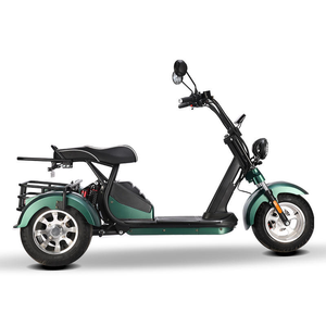 Triciclo <span class=keywords><strong>El</strong></span>éctrico Loyal de 4000W con Doble Motor, GPS, Plegable, Resistente al Agua, Batería de Litio, Alcance de 60-100km, Velocidad Máxima de 50km/h - Product Image 6