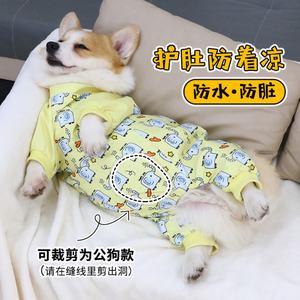 Pet <b>Dog</b> Four Legged Anti Dirt <b>Pants</b> Waterproof Raincoat Walking <b>Dog</b> Dust Proof <b>Pants</b> Four <b>Season</b> Clothes Belly Pocket - Product Image 5