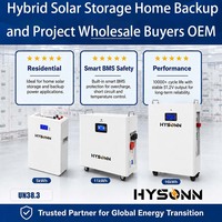 Batterie LFP Hysonn 51,2 V pour armoire murale, alimentation d'usine, pour stockage solaire hybride, sauvegarde domestique et projets, vente en gros, OEM