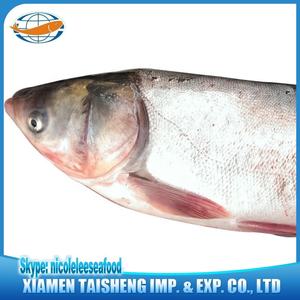 China Frozen Aziatische Verse Vis Karper Vis - Product Image 4