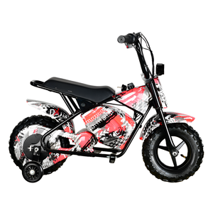 Precio Económico MAXSPEED 250DH 500W 36V Motor con Escobillas, Batería de Plomo-Ácido, Neumáticos, 40km/h, Motor de 500W / 800W / 1000W - Product Image 2