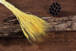 2024 gros Yunnan bricolage fleur séchée <span class=keywords><strong>blé</strong></span> sec décor naturel bouchons d'oreille mariage/magasin centres <span class=keywords><strong>de</strong></span> <span class=keywords><strong>table</strong></span> - Product Image 5