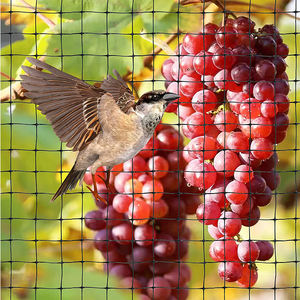 Red antiaves para protección de árboles frutales, estanque de plantas de cerezo, <span class=keywords><strong>mirtilo</strong></span>, Árbol frutal - Product Image 3