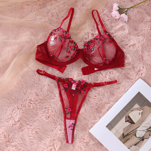 Set di lingerie sexy da donna, lingerie erotica in pizzo a vita bassa, set di reggiseno <span class=keywords><strong>push</strong></span>-<span class=keywords><strong>up</strong></span> e slip in pizzo trasparente da donna - Product Image 3