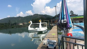 Venta directa de fábrica de alta calidad barco Cisne gruesa de fibra de vidrio se pedal de barcos para la venta - Product Image 4