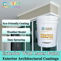 Peinture murale extérieure haute performance au latex avec résistance aux acides et aux alcalis et anti-grattage de Limeijia pour usines, livraison rapide