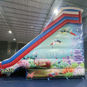Château Gonflable Aquatique pour Enfants, Parc d'Attractions, Toboggan Thème Personnalisé pour Extérieur, Toboggan Aquatique Gonflable, Toboggans Aquatiques - Product Image 5