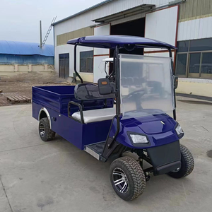 Carro de Utilidad con Plataforma de Carga, Buggy para Golf, Camioneta Eléctrica, Mini Camión de Carga, Carro de Trabajo Utilitario para Uso en Carreteras No Públicas - Product Image 5