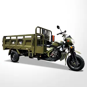 Carico pesante camion triciclo 200CC/250CC/300CC Tre Ruote Tricyclle Cargo Moto CCC Origine Tipo aperto Dimensione di Guida