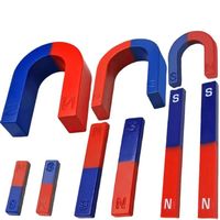 Magnet Ferit Bentuk U/Batang/Cincin Kecil Permanen Biru/Merah Kutub Utara/Kutub Selatan Magnet Horseshoe untuk Eksperimen