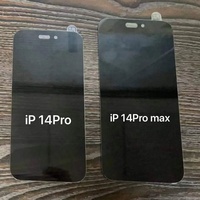 2023 protecteur d'écran Pro verre trempé intimité pour Iphone 13 Pro Max 14 11 12 Mini Xr X XS 6 7 8 Plus