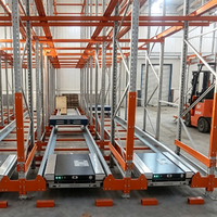 Solutions d'automatisation robustes à base de navettes métalliques, dotées de voitures navettes robotisées, compatibilité WMS pour la distribution moderne
